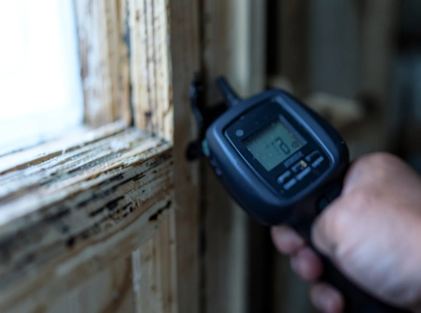 Moisture Inspection And Documentation in Rye, CO